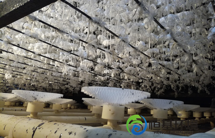污水處理工程 污水處理工程