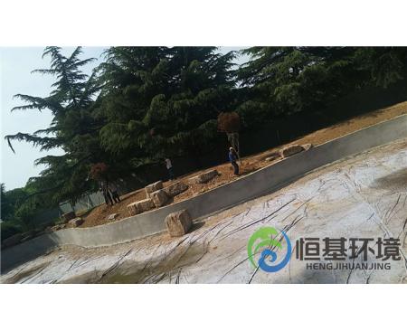 信陽(yáng)迎賓館濕地工程—景觀樹種植