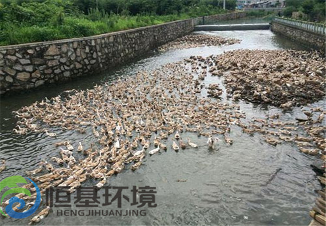養(yǎng)殖場(chǎng)污水處理